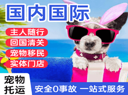 西郊航空快递国际宠物托运 【国
